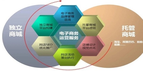 電子商務(wù)網(wǎng)站與平臺(tái)的全面推廣與精細(xì)化運(yùn)營策略