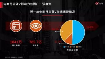 2018年電子商務(wù)平臺(tái)運(yùn)營 數(shù)據(jù)驅(qū)動(dòng)下的新格局與核心策略